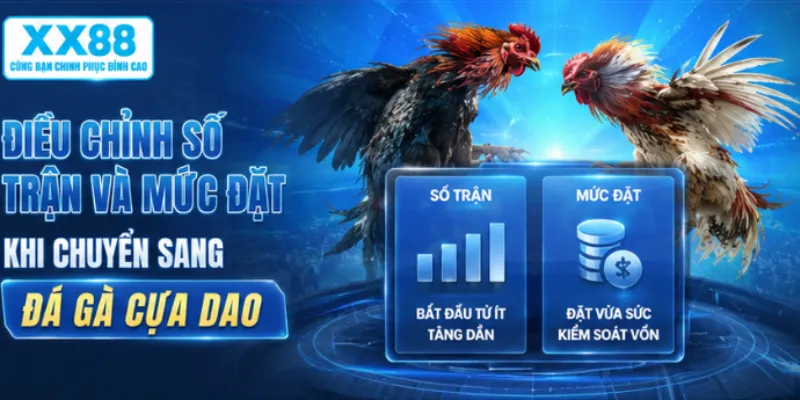 Điều chỉnh số trận và mức đặt khi chuyển sang đá gà cựa dao
